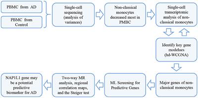 Integration of single-cell sequencing with machine learning and Mendelian randomization analysis identifies the NAP1L1 gene as a predictive biomarker for Alzheimer's disease
